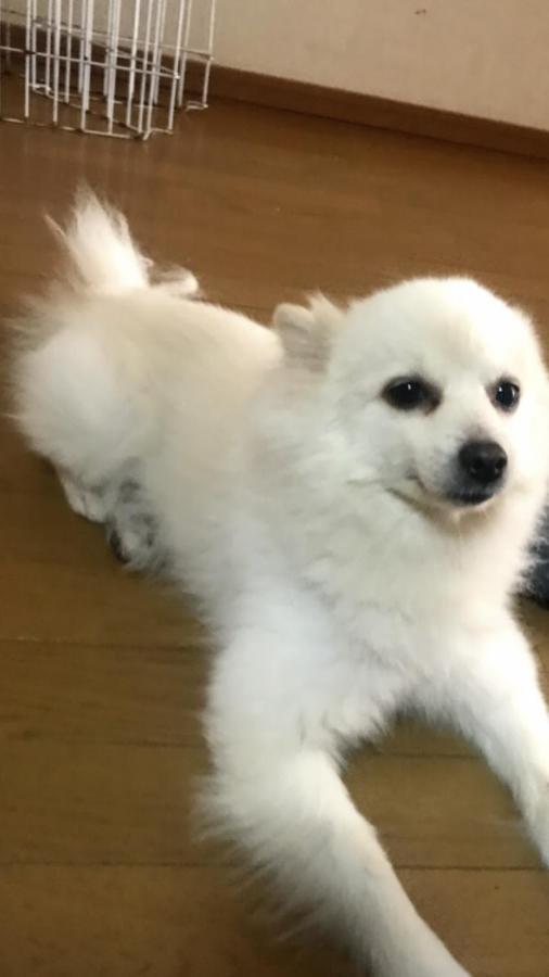 Stay Akeboshi Kan Hakodate Dış mekan fotoğraf